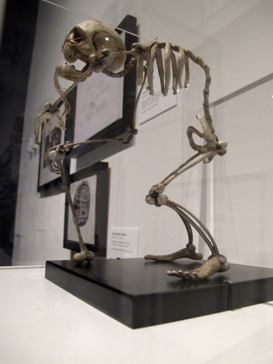 From an exhibition at LACMA