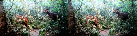 LA Museum of Natural History