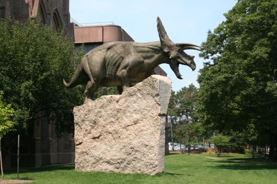 Torosaurus