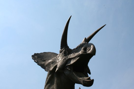 Torosaurus