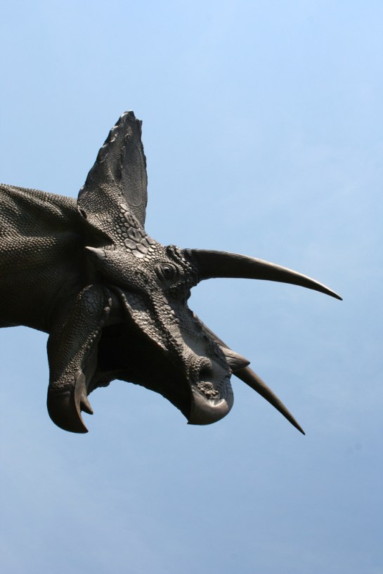 Torosaurus