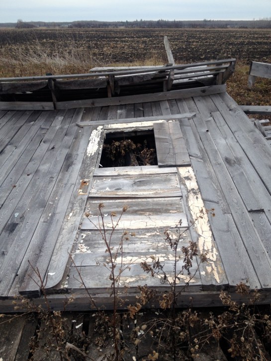 Western Film Set  Photo: Phoebe Chard