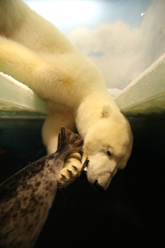 Helsinki Natural History Museum
