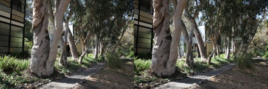 Eames House