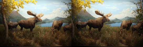 Moose, L.A. Natural History Museum