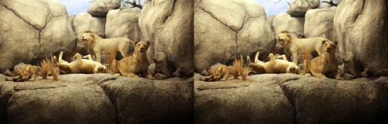 L.A. Natural History Museum