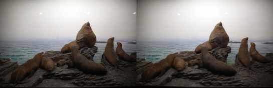 L.A. Natural History Museum