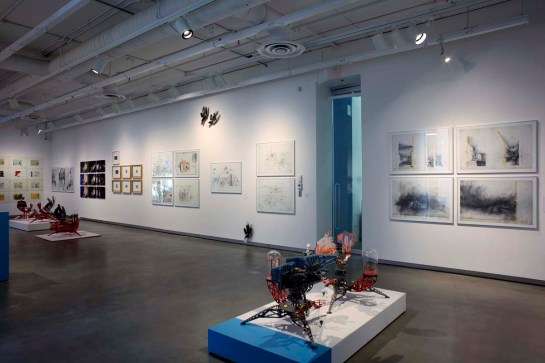 Photo by William Eakin