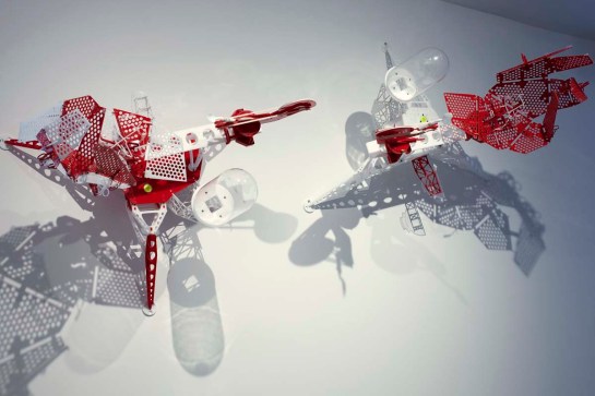 Photo by William Eakin